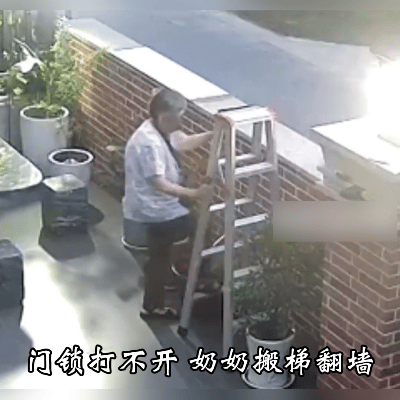 硬核可爱！84岁奶奶被门锁难住，搬梯子翻墙回家
 
谁能想到，高龄奶奶的操作这么