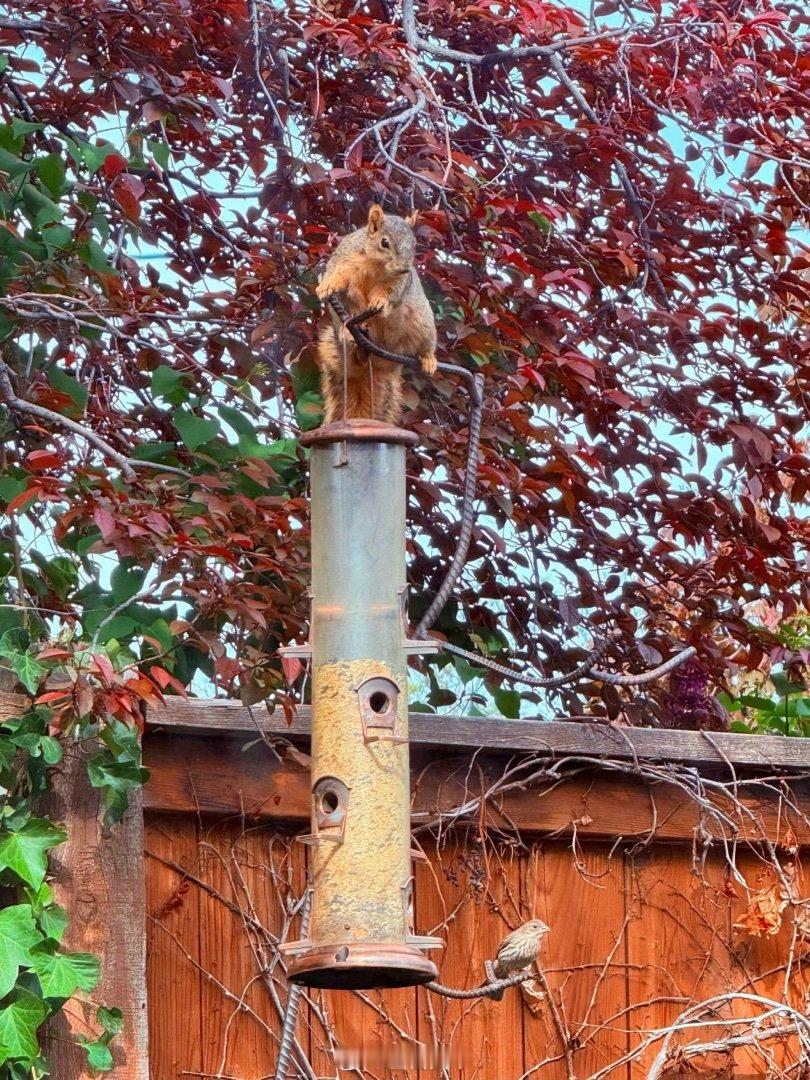 周末在女儿家餐聚 乖妈摄影 