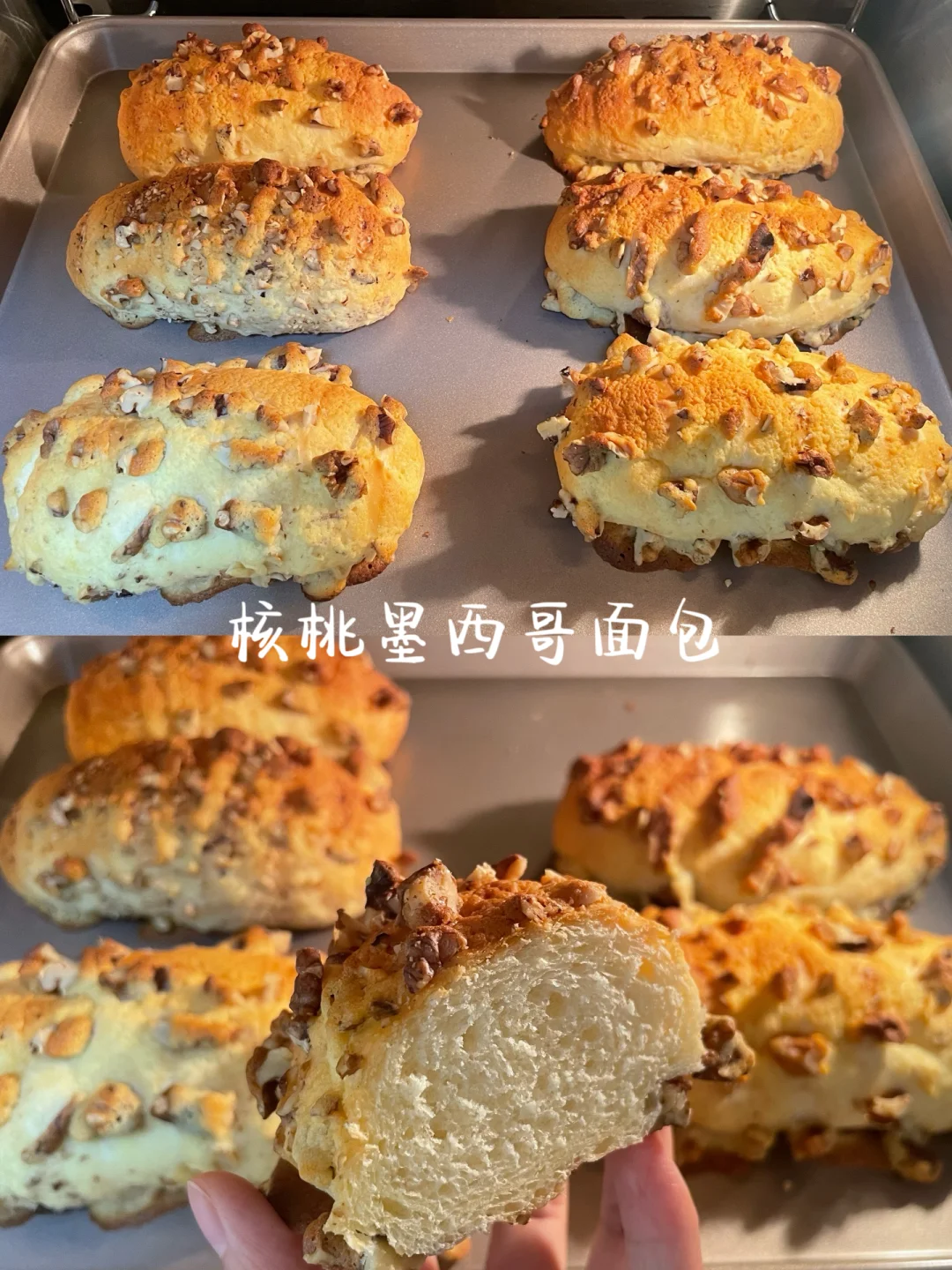 核桃墨西哥面包｜一次发酵❗️口感丰富超好吃