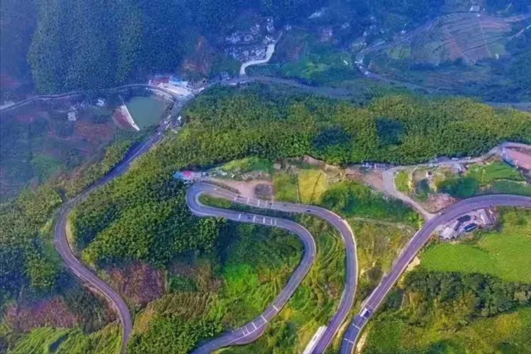 去浙江游玩时，发现本地开比亚迪、特斯拉的人并不多，开宝马、奔驰、奥迪、大众的倒是