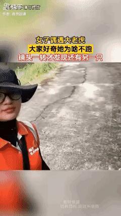 女子偶遇大老虎，大家好奇她为啥不跑，镜头一转才发现还有另一只！😳