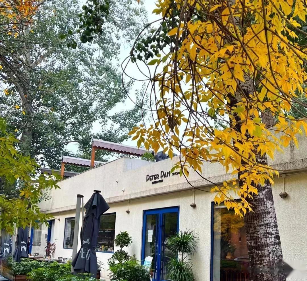 #秋日生活打卡记# 
金秋十月，树上那稀稀拉拉的叶子，干得像旱烟叶一样。大地妈妈