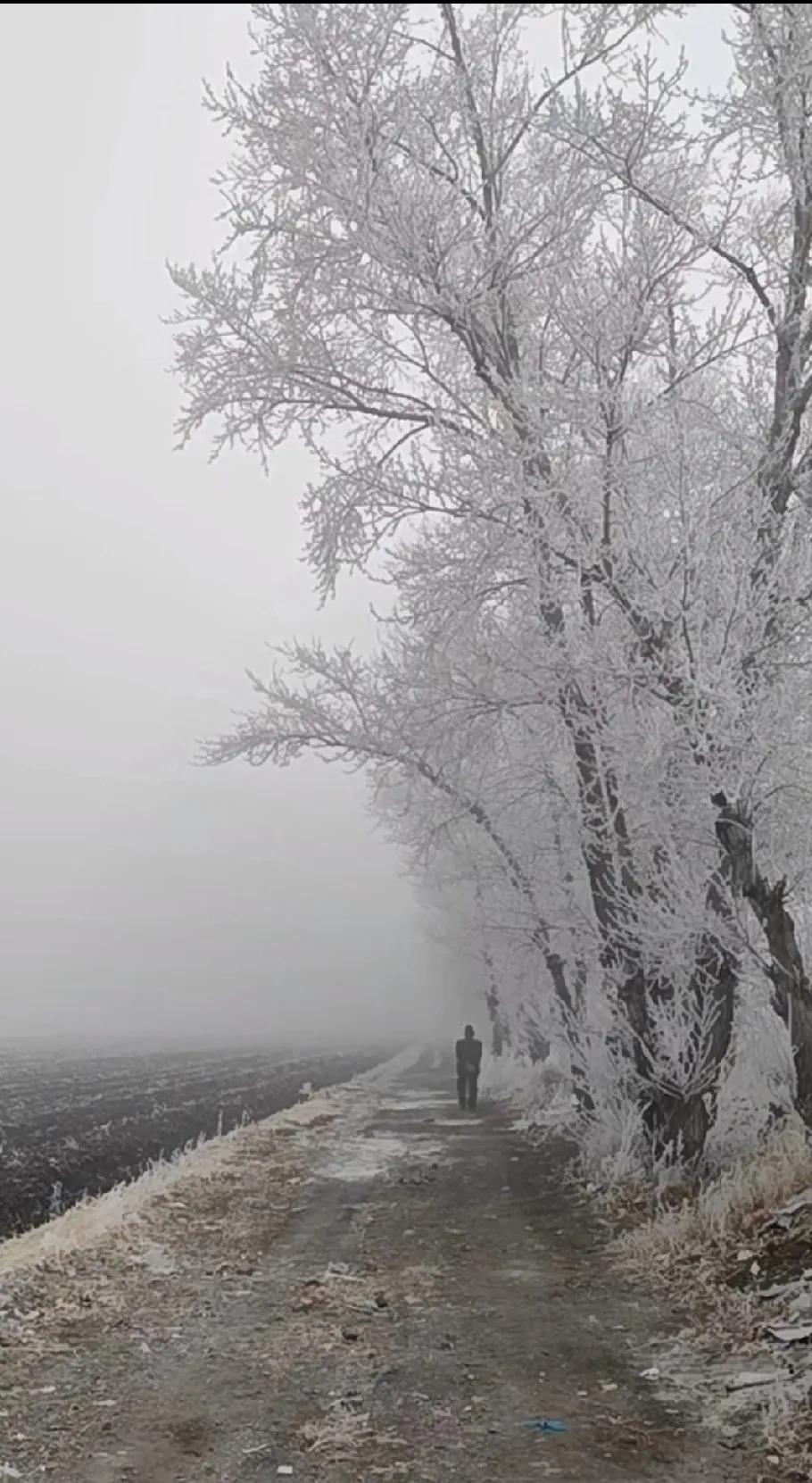 人生沧桑的感悟，岁月如梭，五六十年的光阴转瞬即逝。回首往昔，我历经沧桑，劳累与委