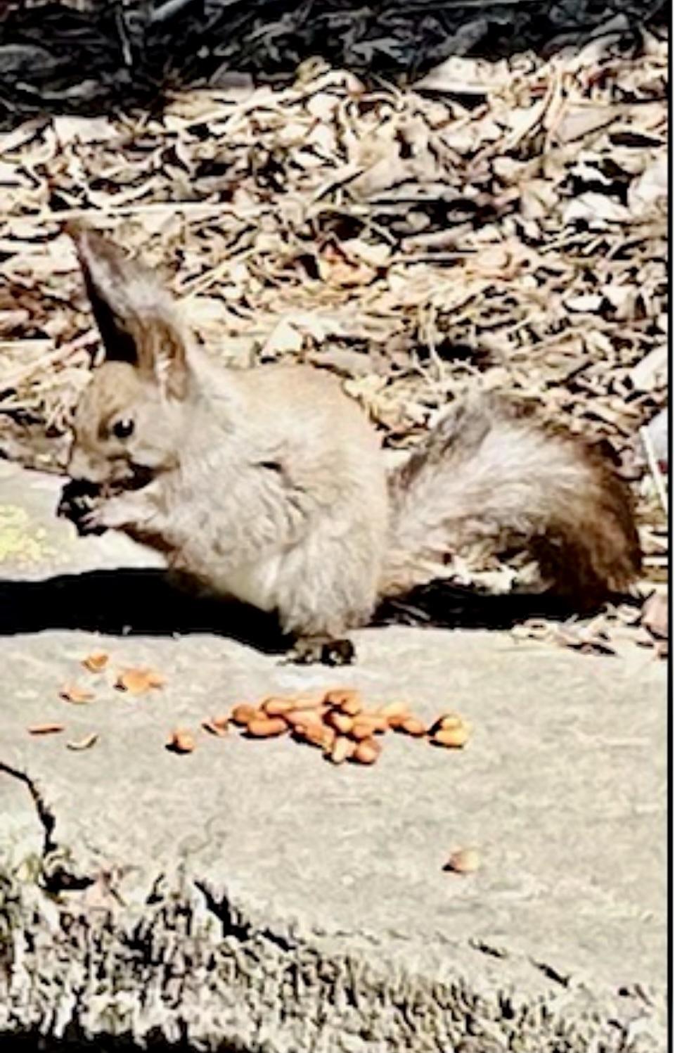 ～请偷邻居～

大强闲得无聊，在自己家门上贴一张纸，上写：“我没钱，要偷请偷邻居