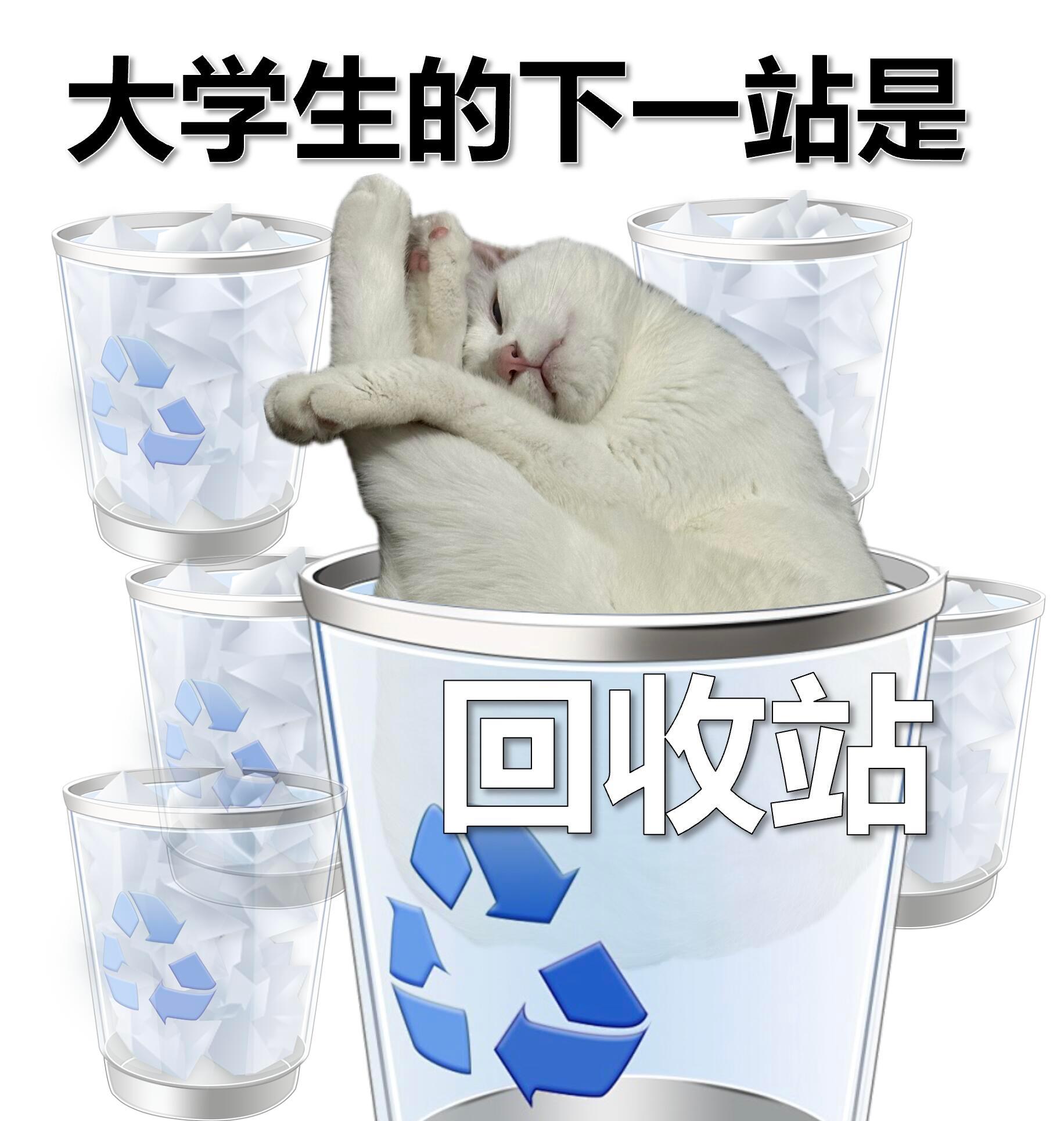 什么时候看到这些梗能不笑 我什么时候看到这些梗图我能不笑啊逮着当代大学生就嚯嚯是