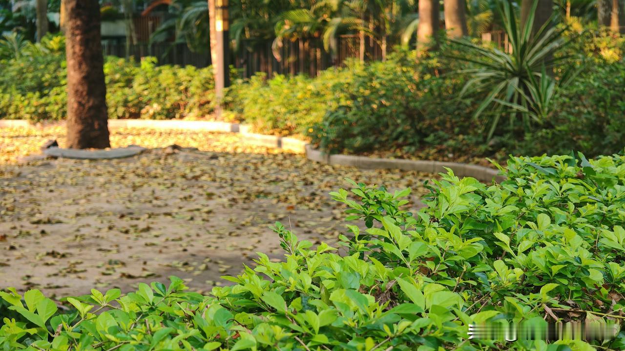 企业搞绩效考核目的是什么?给服务型企业分享一个“愿景拆解三步法”，避免战略停留在