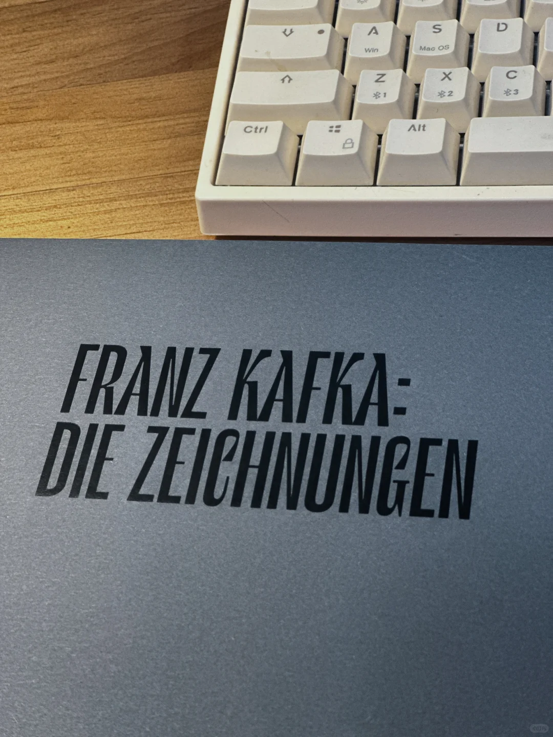 卡夫卡：我的疗愈，来自乱涂乱画🌚