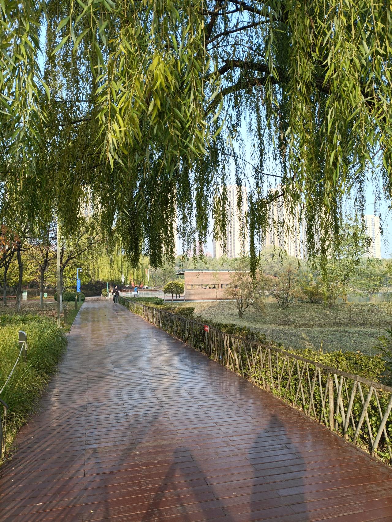 分享一下你随手拍下的照片秋日随手拍