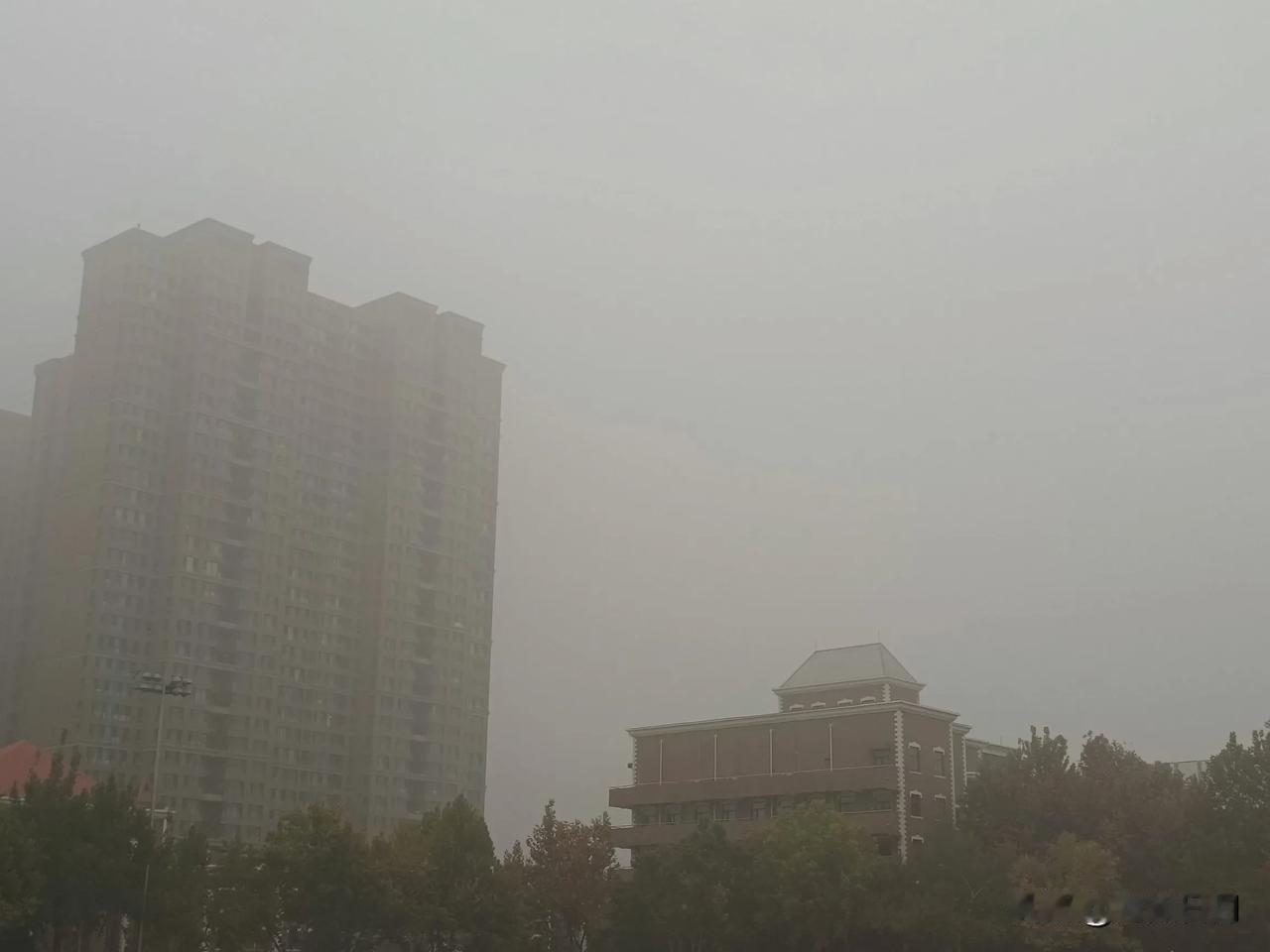 今天远眺已经看不到石家庄世纪公园的电视塔了，究其原因是天气预报“大雾黄色预警”，