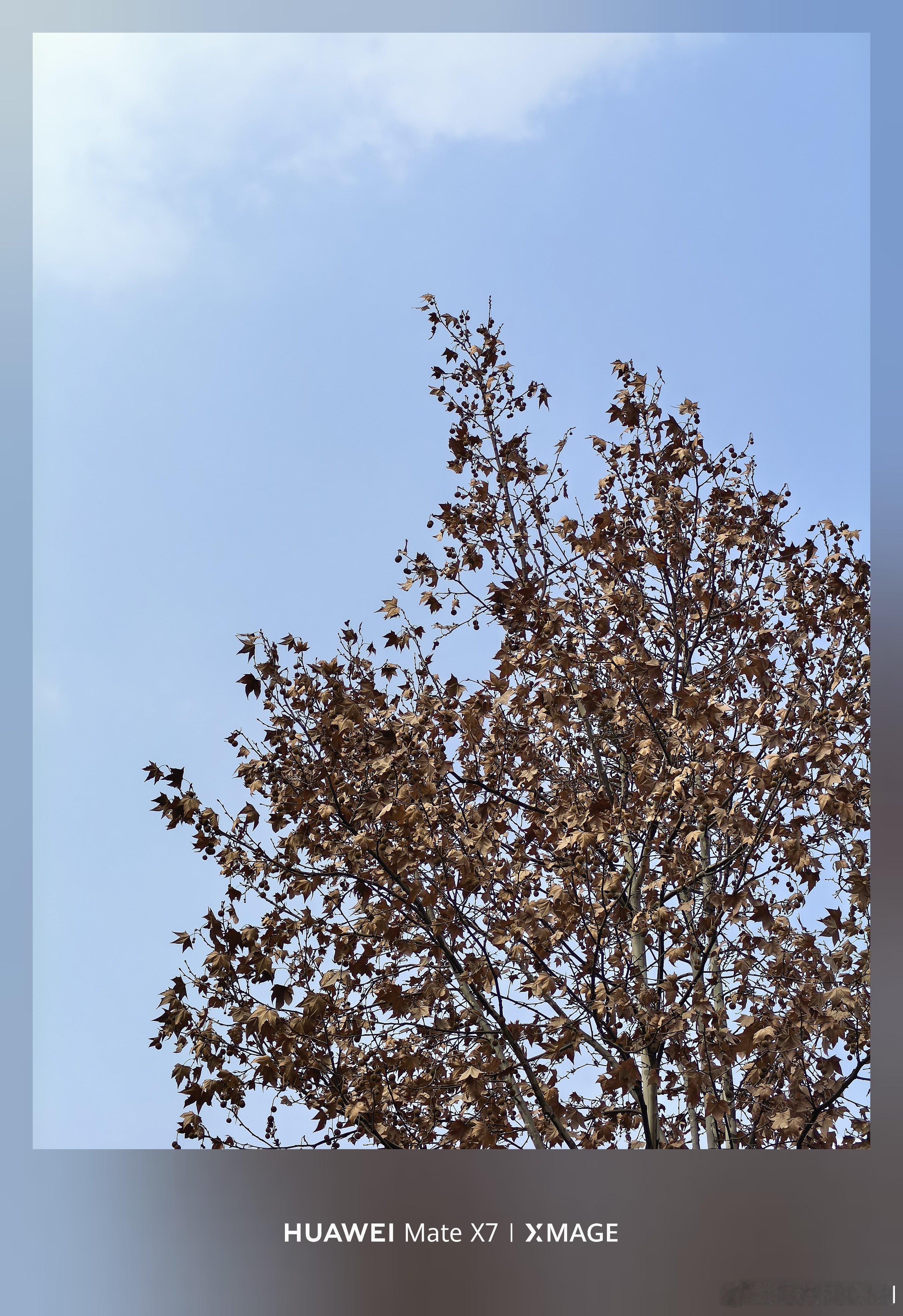 晒太阳，补维D了！