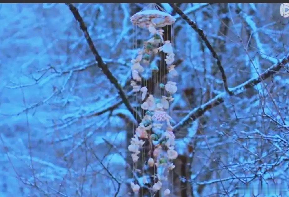 《老舅》崔国明跟舅妈葬同一个地方了，都在兔子窝山上，没有墓碑但要找起来也容易那有