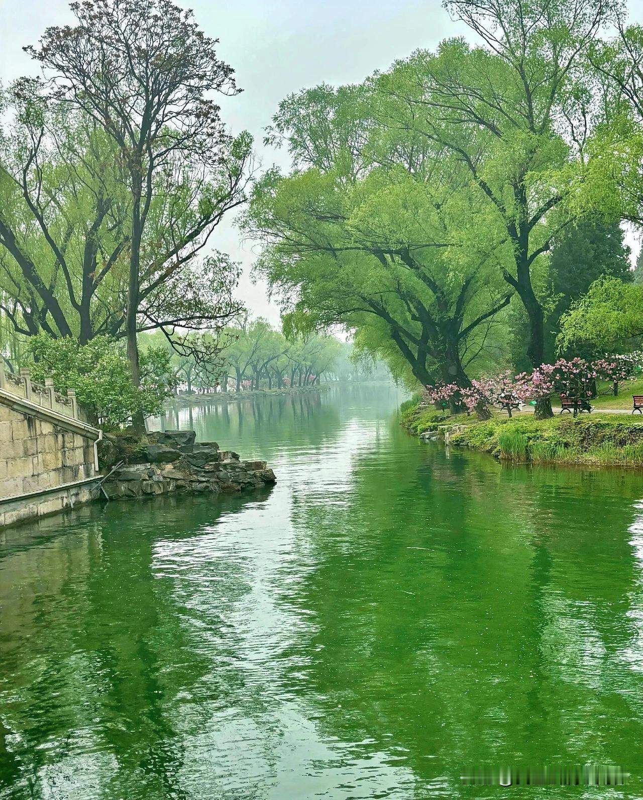 下联：隔溪烟雨响晨钟
上联：有请雅士[玫瑰][玫瑰][玫瑰]