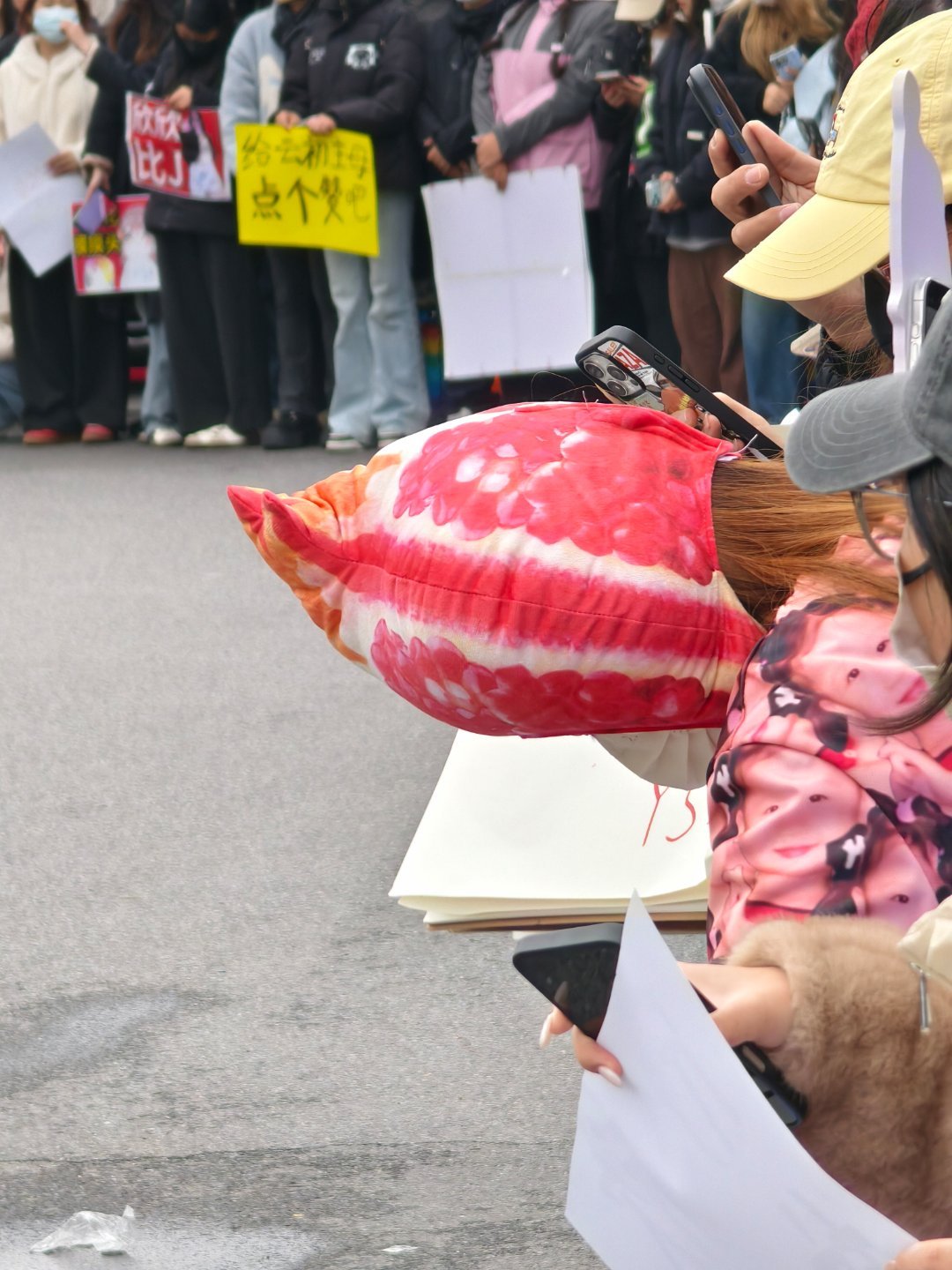 太有意思了！！！小石榴头套和虞书欣小时候上衣 好萌吧 