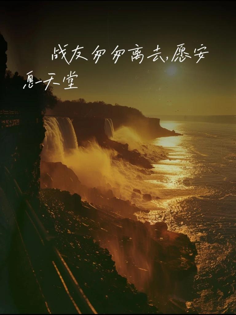 #好闺蜜好战友# 你的离去让我们很心痛，愿天堂没有痛苦 #小白，一路走好#