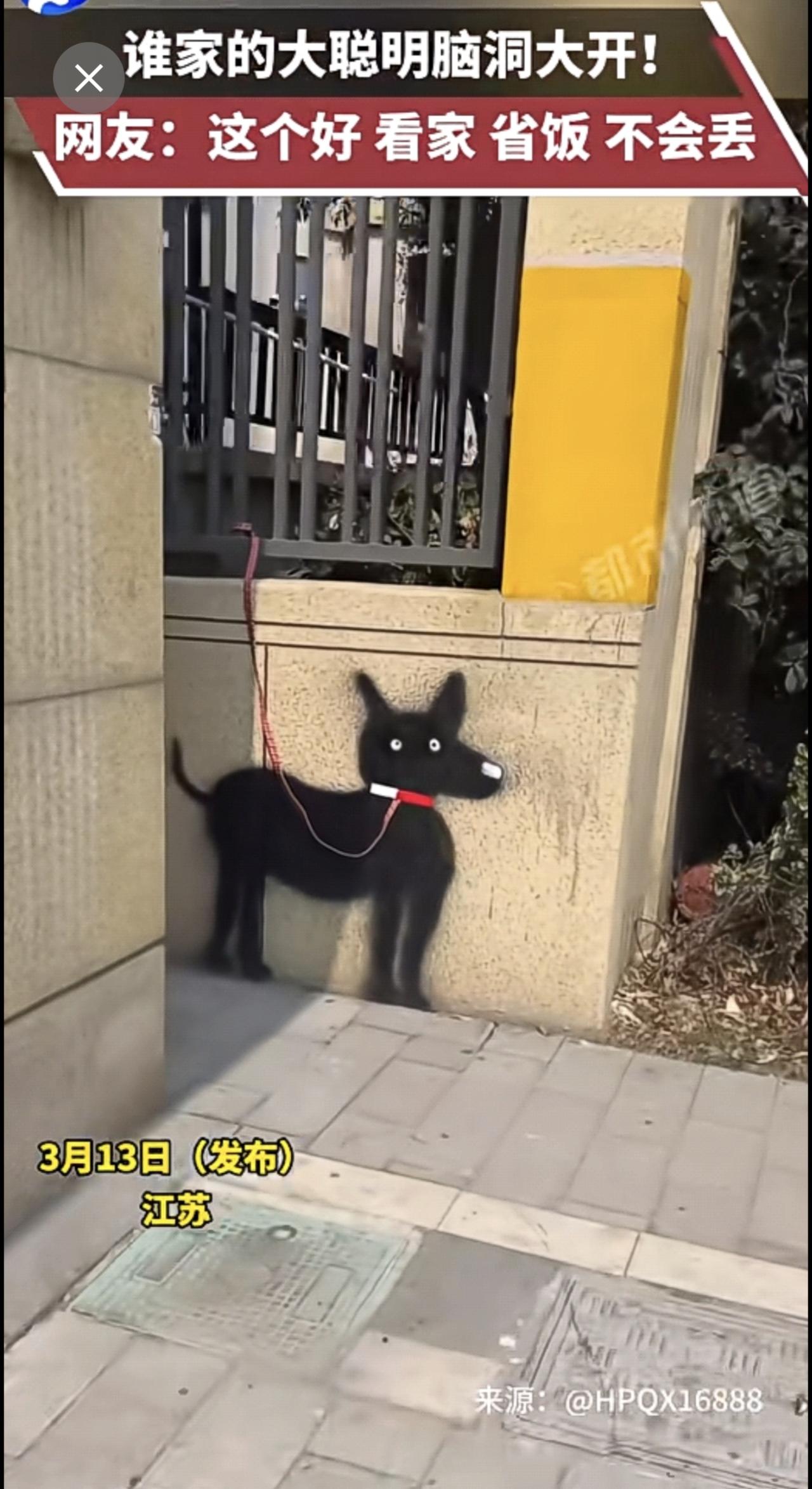 谁家的大聪明脑洞大开！网友：这个好，看家、省饭、不会丢。趣中国 （来源 都市频道