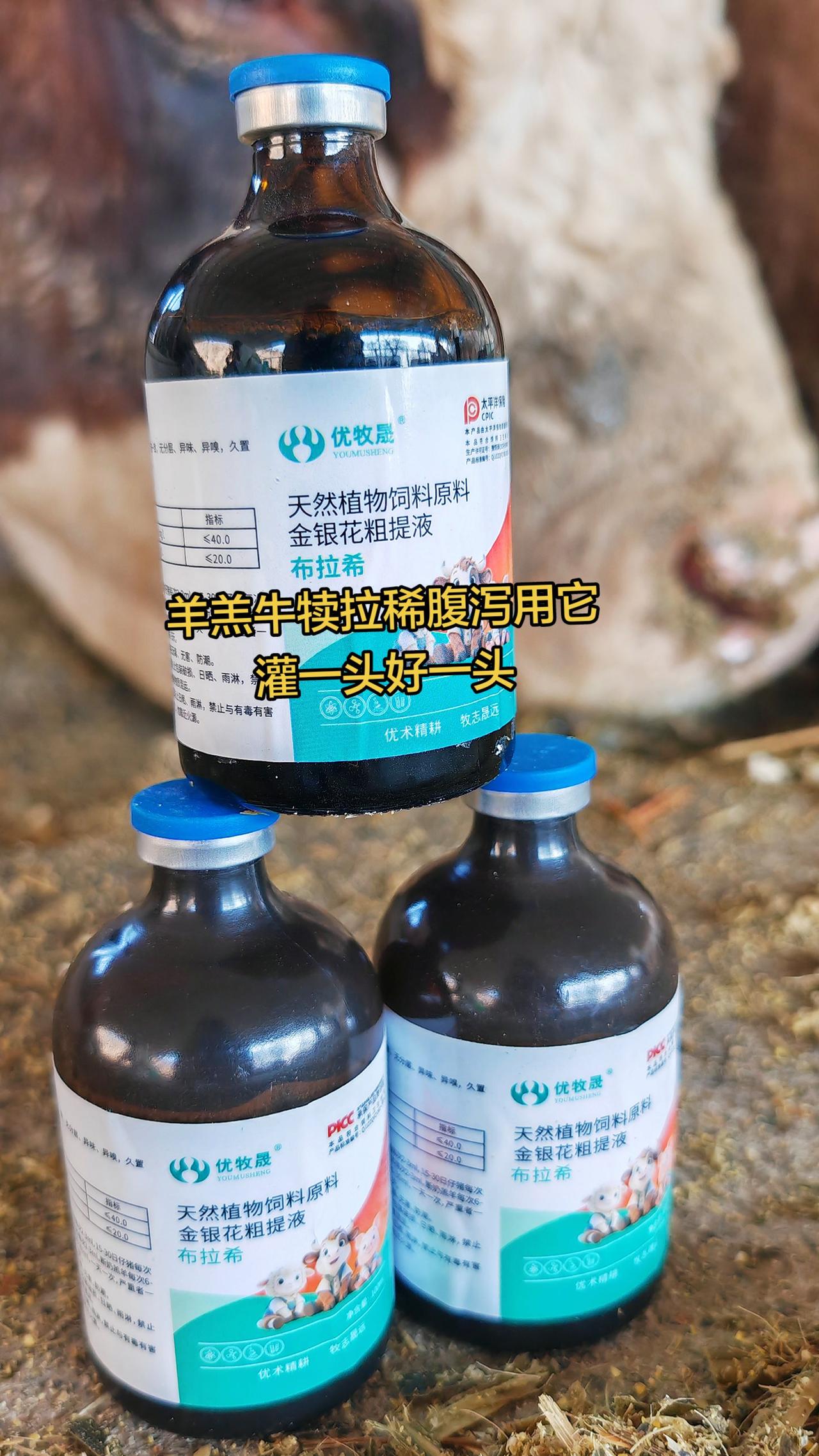 养羊人 农村养羊 牛羊养殖