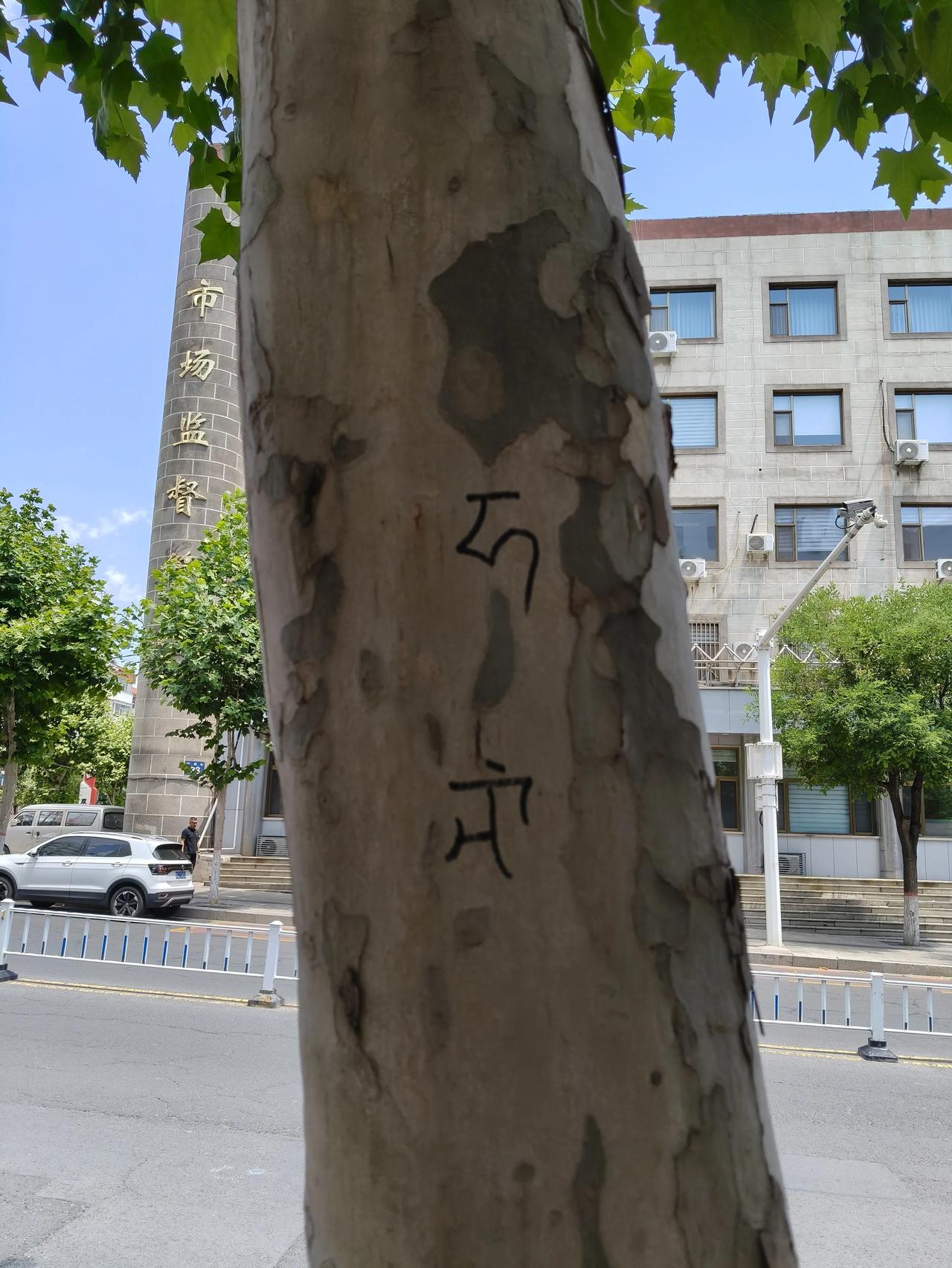这是啥?好奇怪。