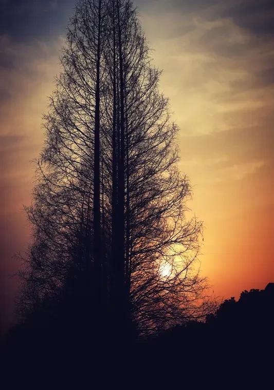 同事抢你单子，你没吵没闹，转身把客户养成了铁粉。
人家靠嘴皮子，你靠真心。
业绩