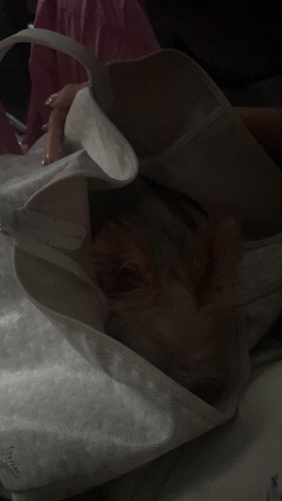 带儿上班天降大雨回不去无语 ​​​