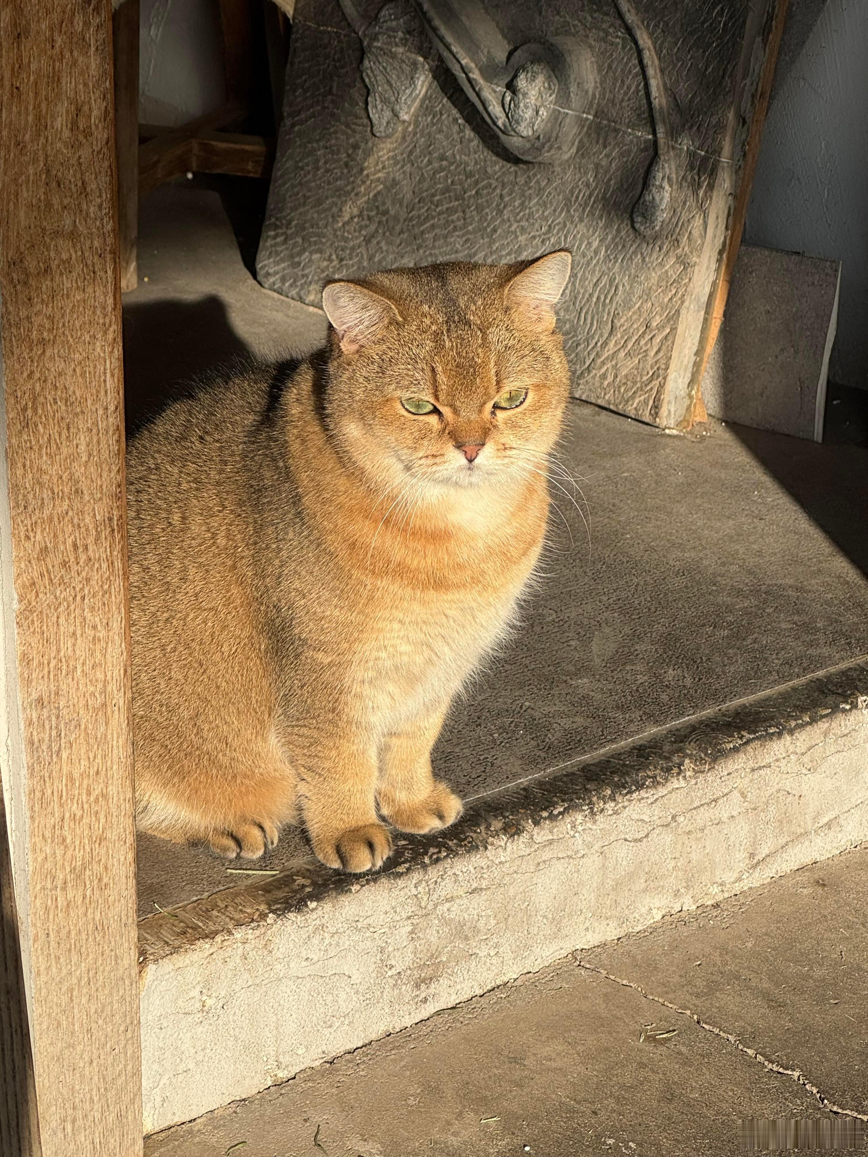 “外界的声音都是参考，你不开心就不要参考。”这句话，像一把钥匙，打开了通往自由的