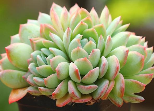 原来，在忙碌的日子里，挤出一点时间来取悦自己，做一件喜欢的事真的很治愈，世界有四