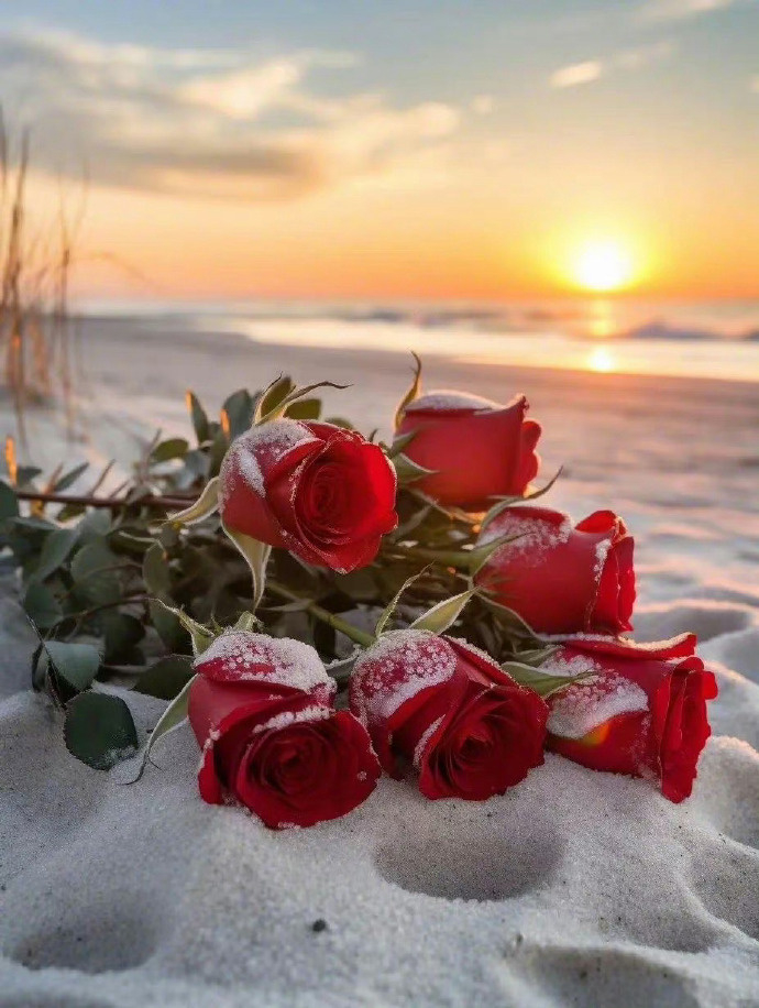 “人最不成熟的行为就是   心情一好就原谅了一切” 