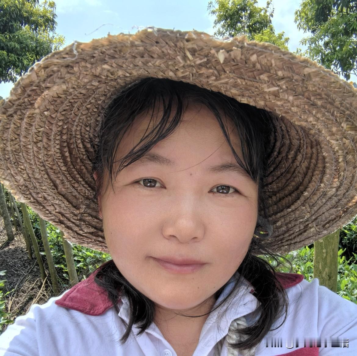 这两天我每天虽然只在头条上挣一块多钱，但我的生活比过去过得惬意多了。


我不再