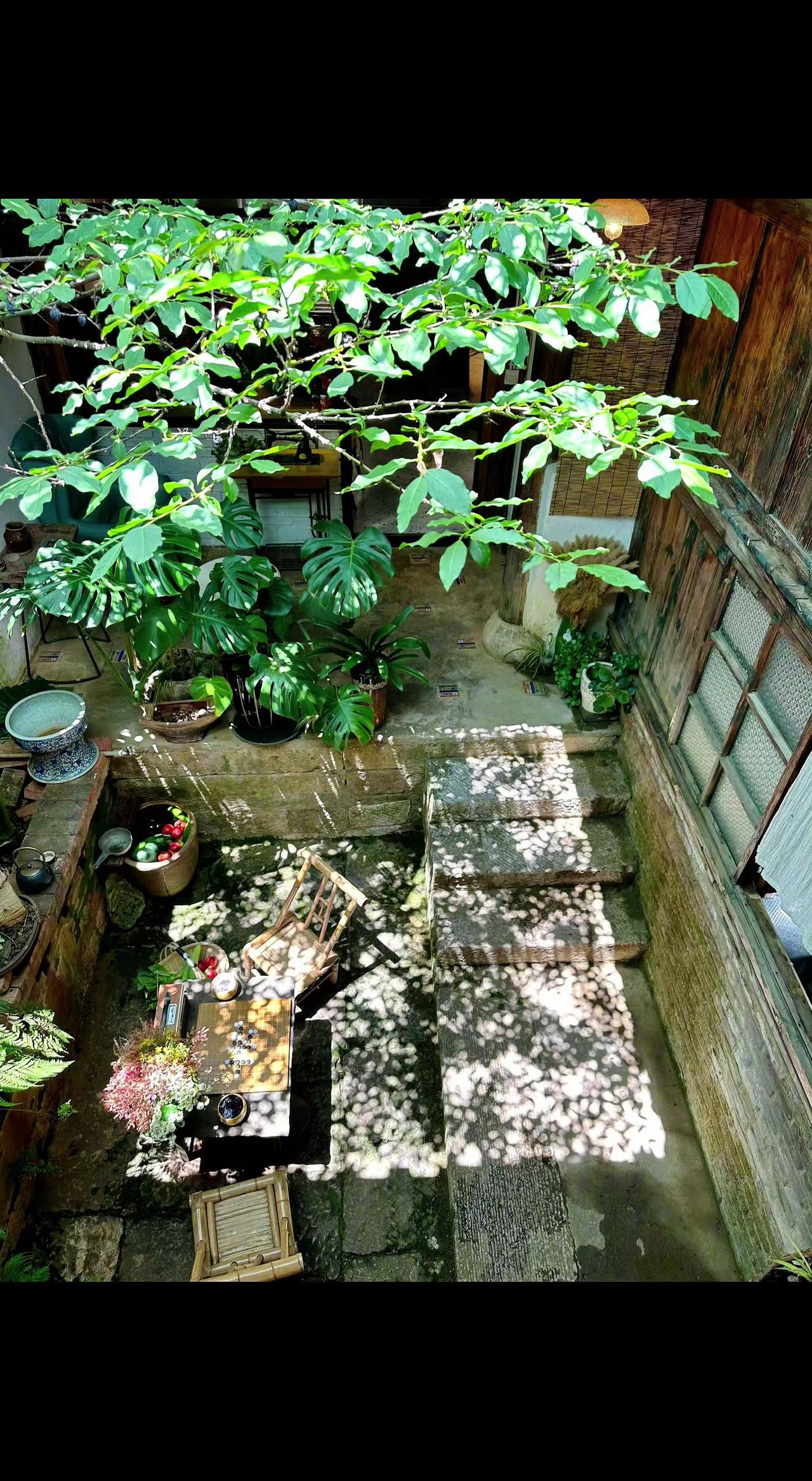 🌿天井四方，时光凝成琥珀⏳。石阶承光影，老藤攀岁月。偷得浮生半日闲，心安处即是
