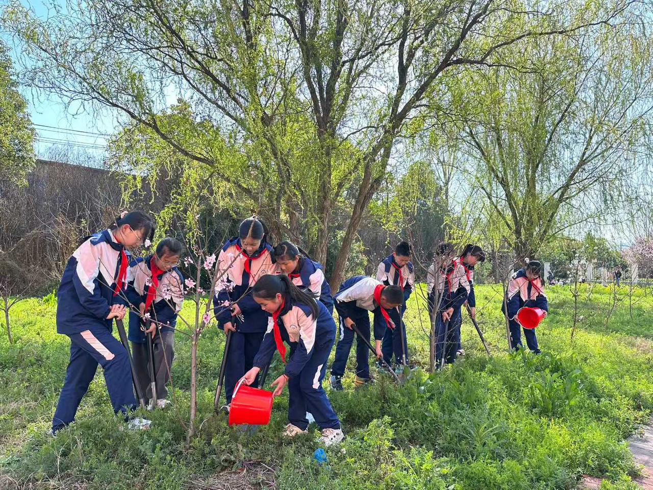 汉台区部分学校少先队员植树节的快乐汗水💦也是快乐
植树护绿的种子种在校园
生根