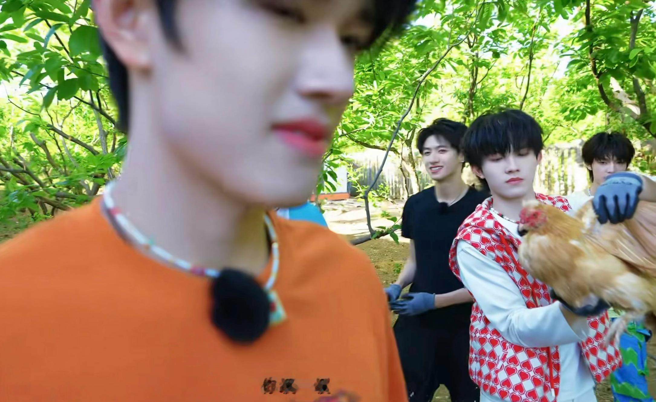 棍儿的泛灵期是否太可爱了一点！！！抓到小鸡会给小鸡说“抱歉啦你缓一缓”种下小树后