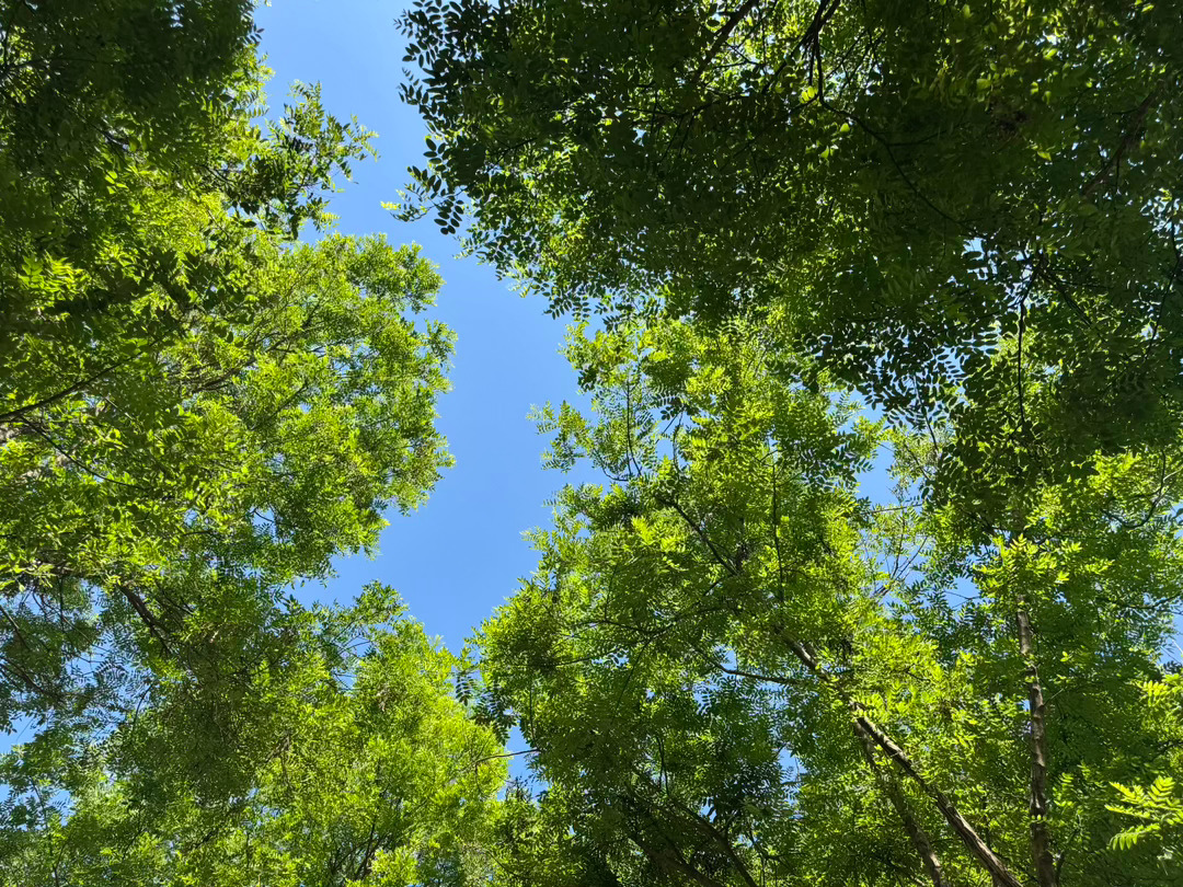 成年人的世界，都在悄悄自愈，不逢人诉苦，不轻易认输，默默熬过低谷，慢慢把日子过成