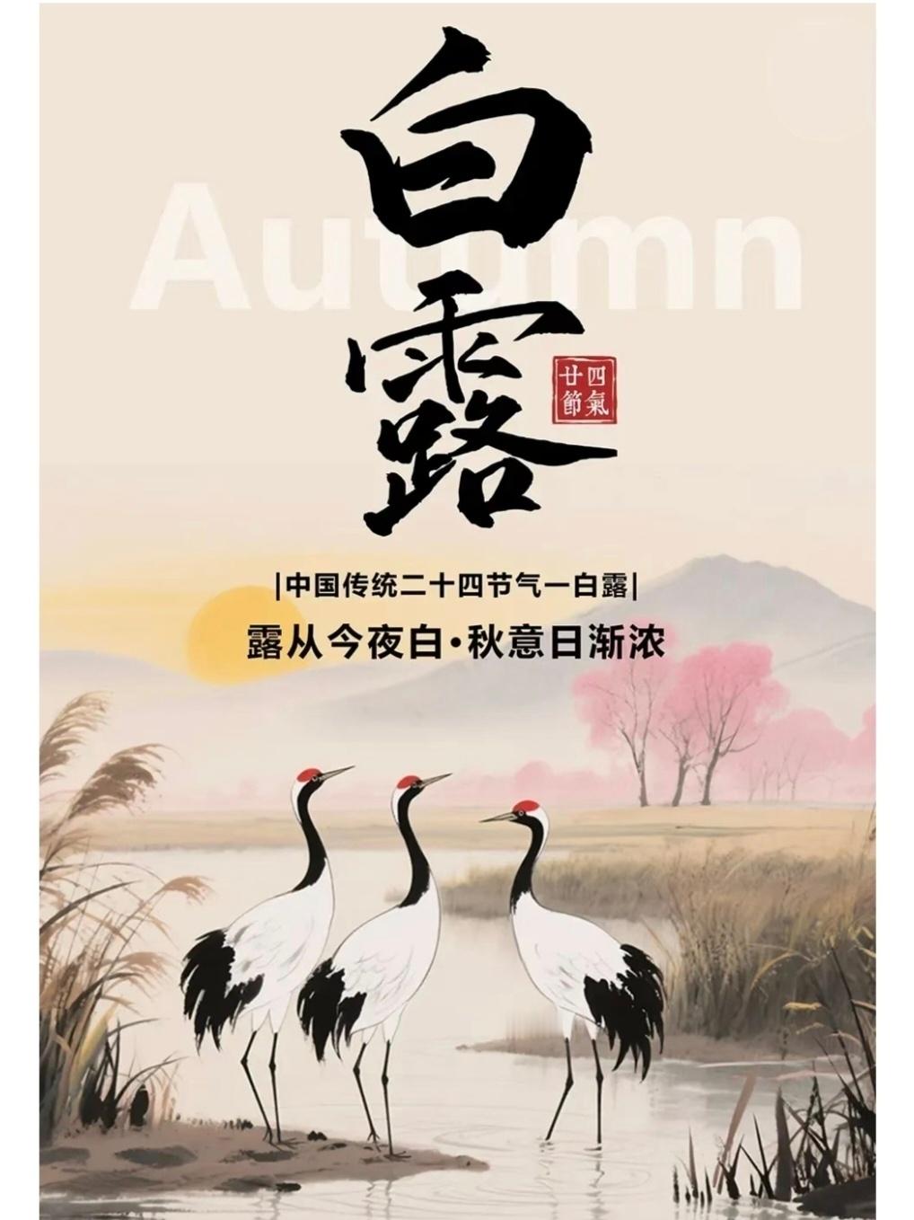 白露时节，金风起，白露降，夜微凉，月如霜，渐知秋日美。——白露今日白露 ​​​