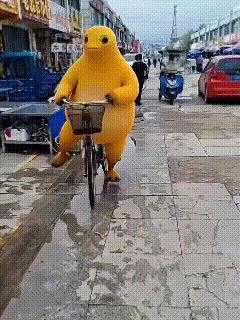 分享图片 