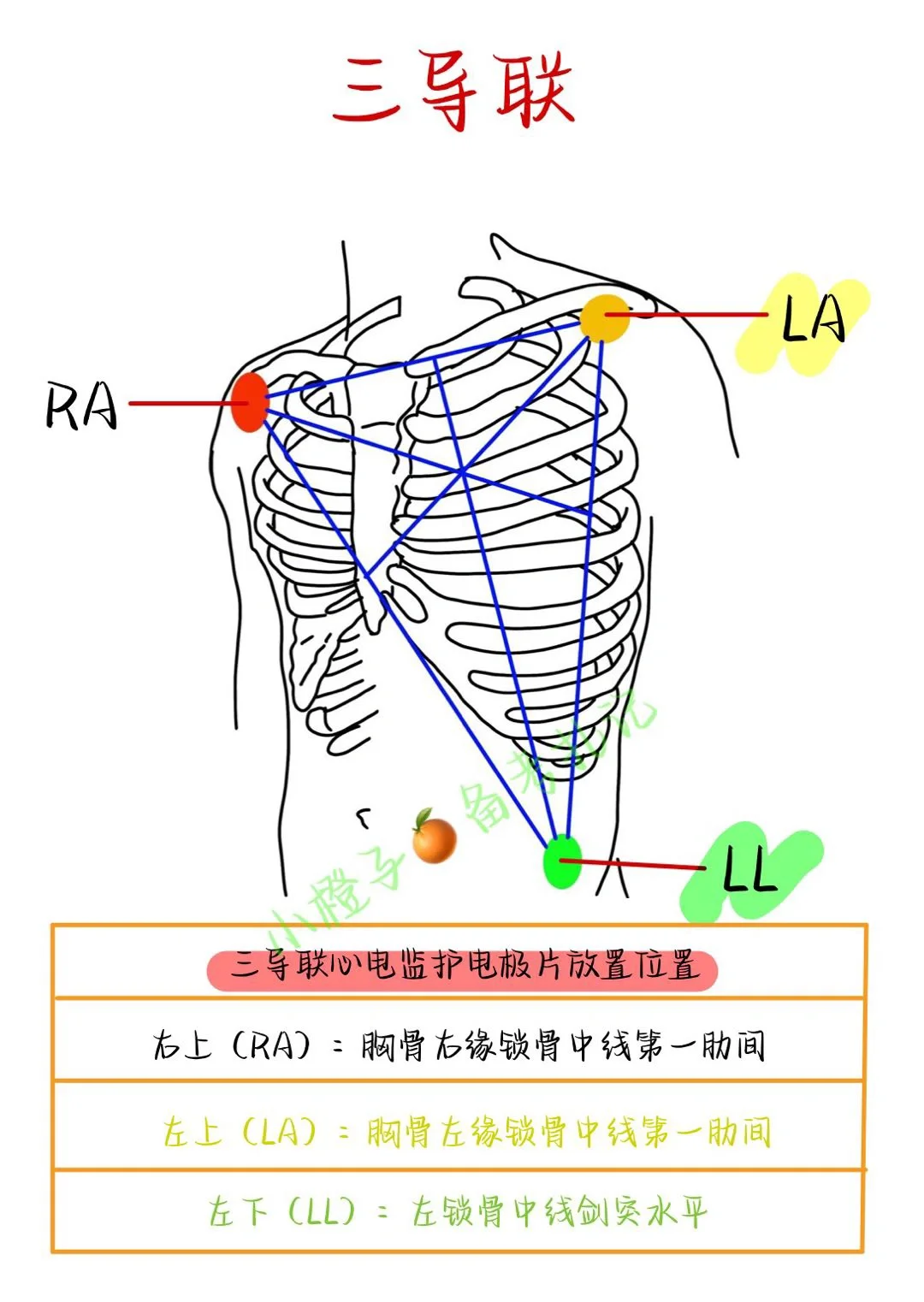 📖实习必备｜那啥导联看完这篇就够了🔥