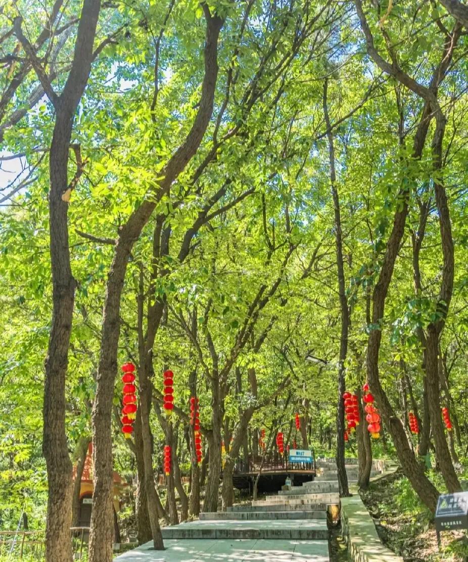 
秋天在不凉不热中悄悄的把夏天彻底送走了，也慢慢的向寒冷的冬天招手，毕竟秋天太短