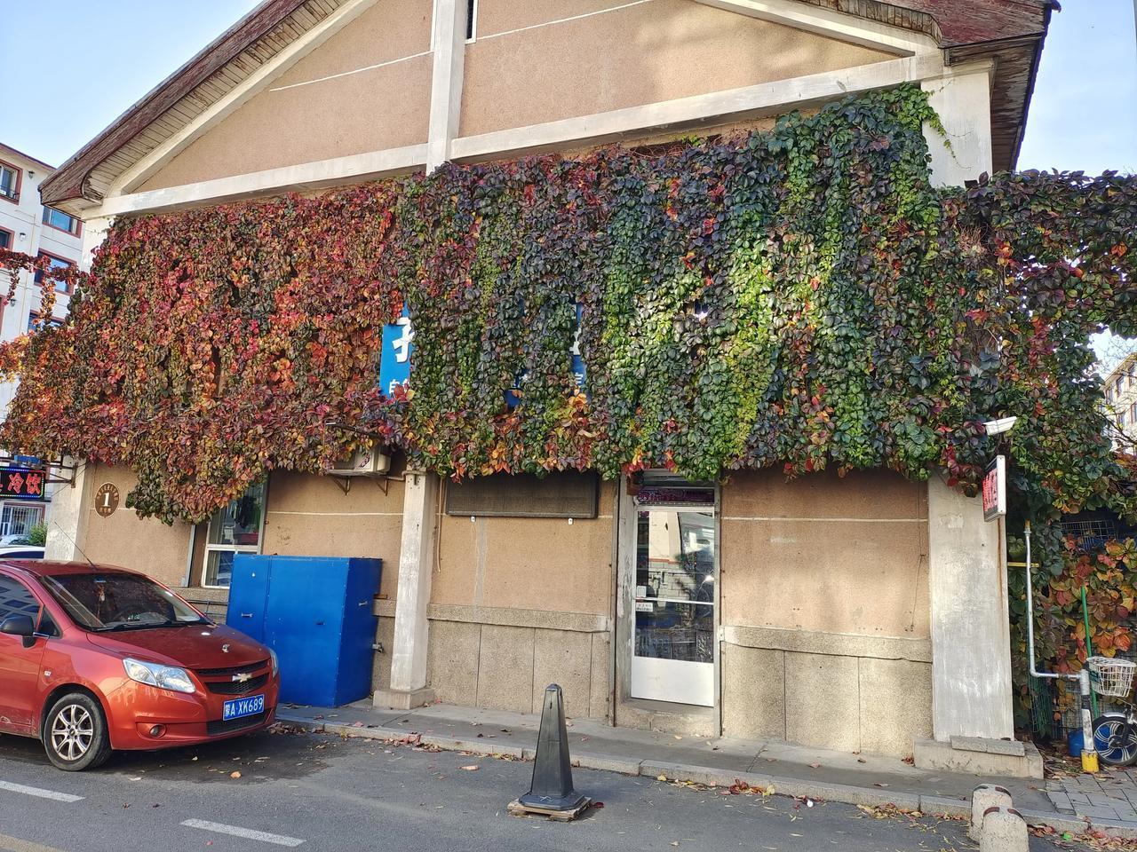 长满爬山虎的小店，这家小商店就在呼市农大西区，上面长满爬山虎，将原本平淡的墙面变