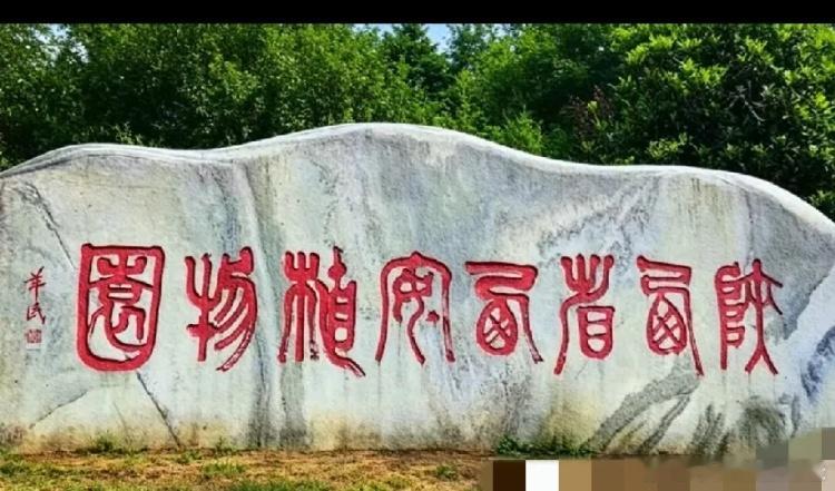 不是我吹！我敢说！95%的人看不懂这石头上的字，谁能全部看懂，绝对是非常有文化的