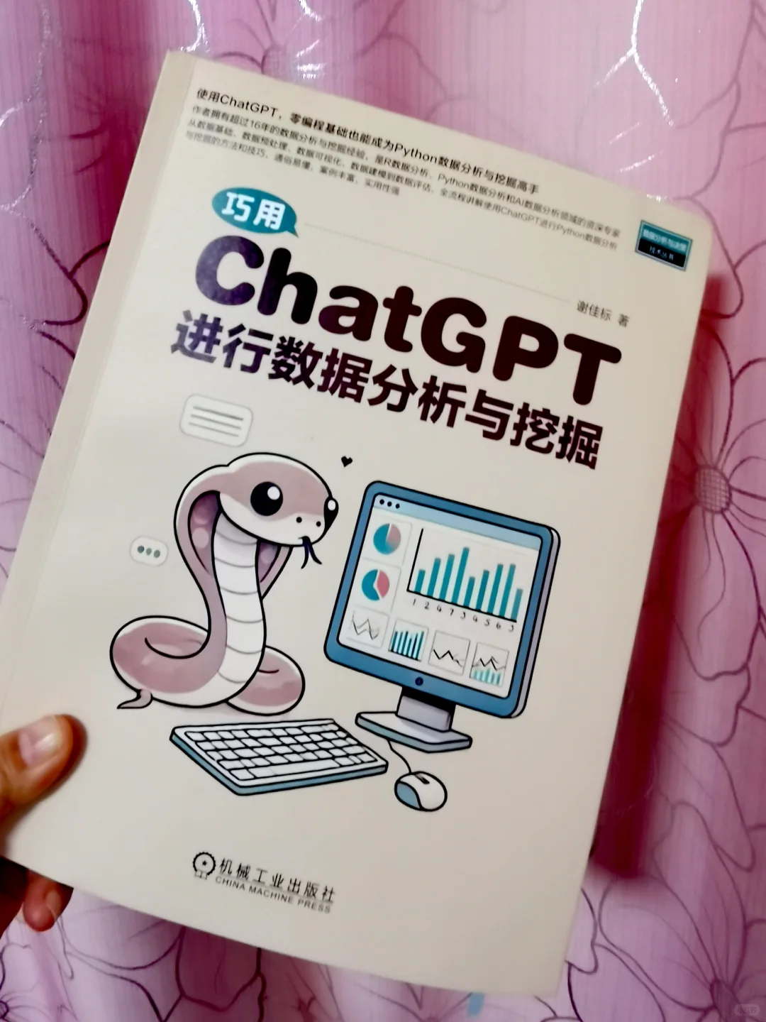 从数据小白到大师：巧用ChatGPT进行数据