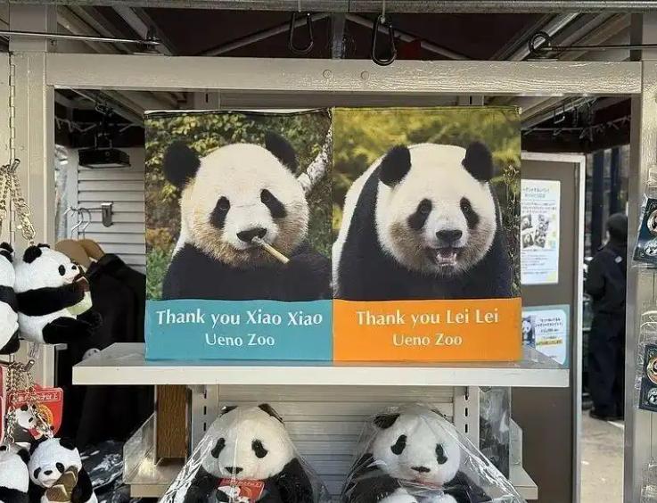 日本东京都政府宣布了
 
日本共同社1月19日消息，东京都政府19日表示，将归还