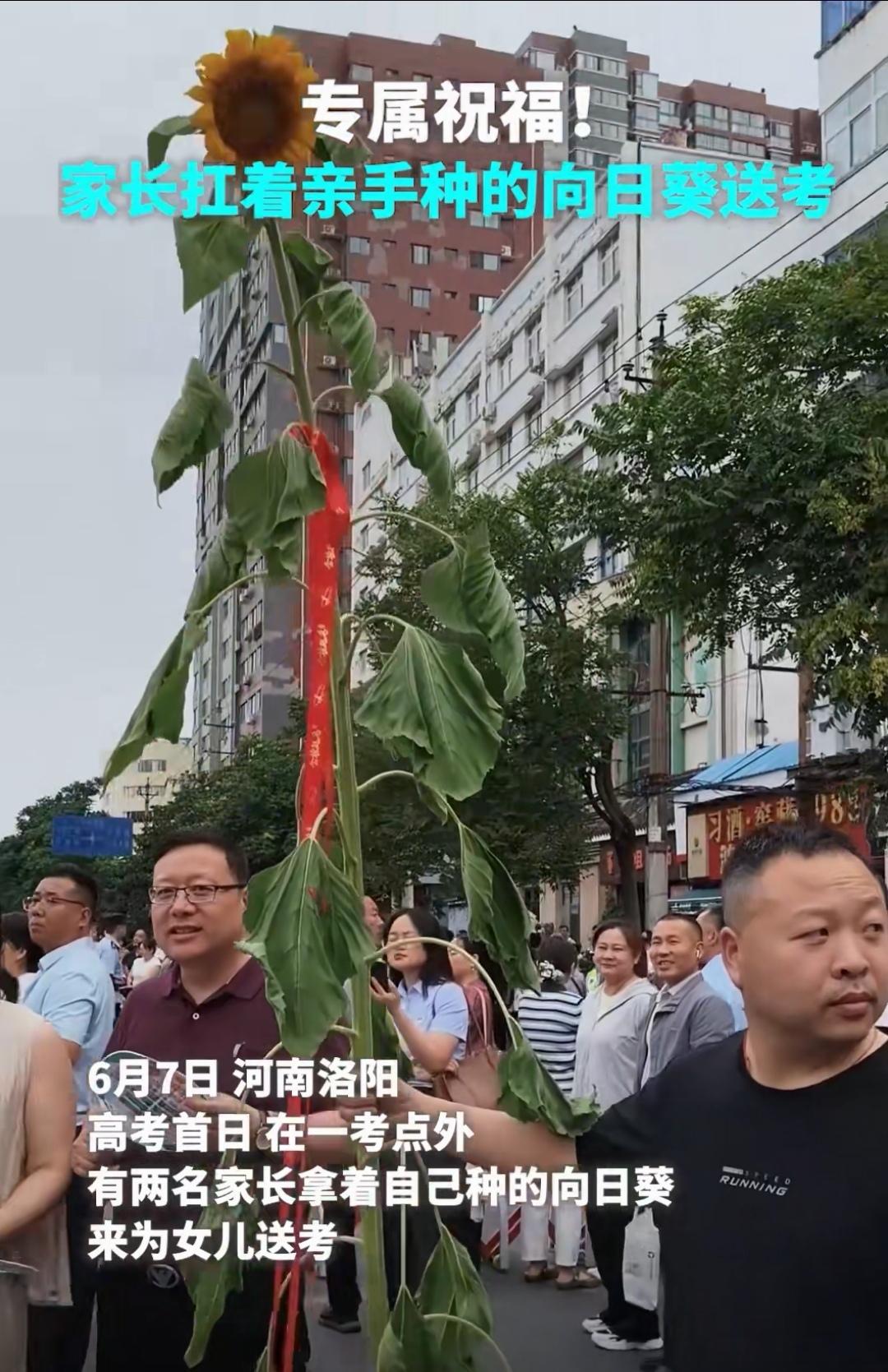 父亲举着向日葵，祝女儿高考“一举夺魁”。女儿一脸欣然，接受父亲的祝福，这温馨的场