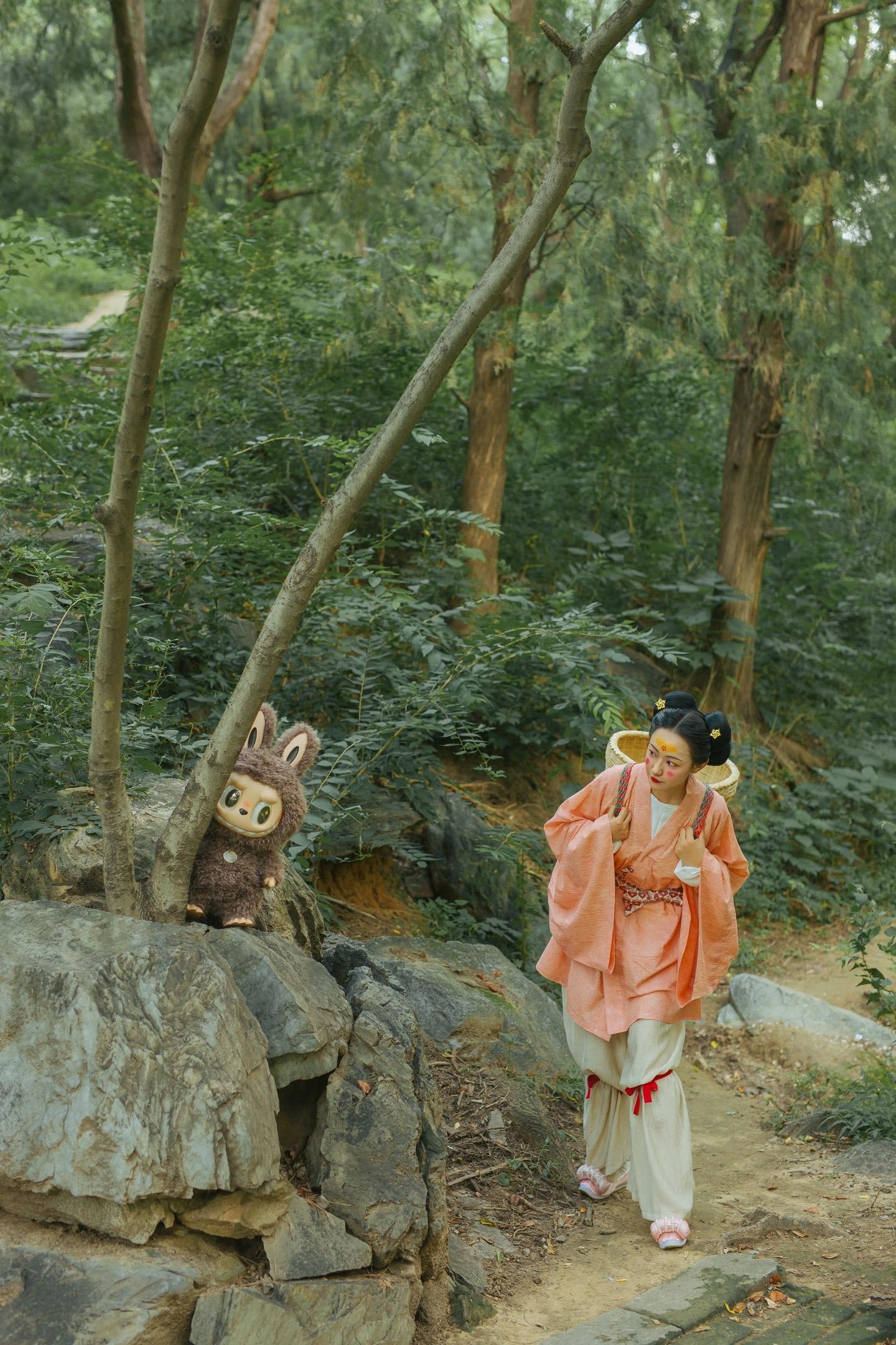 南北朝·北魏｜在森林里遇见zimomo.