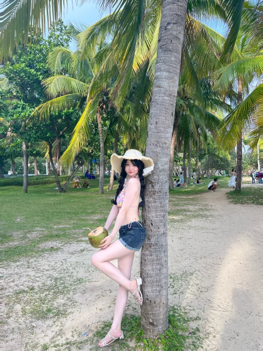 三亚椰梦长廊太好拍啦
