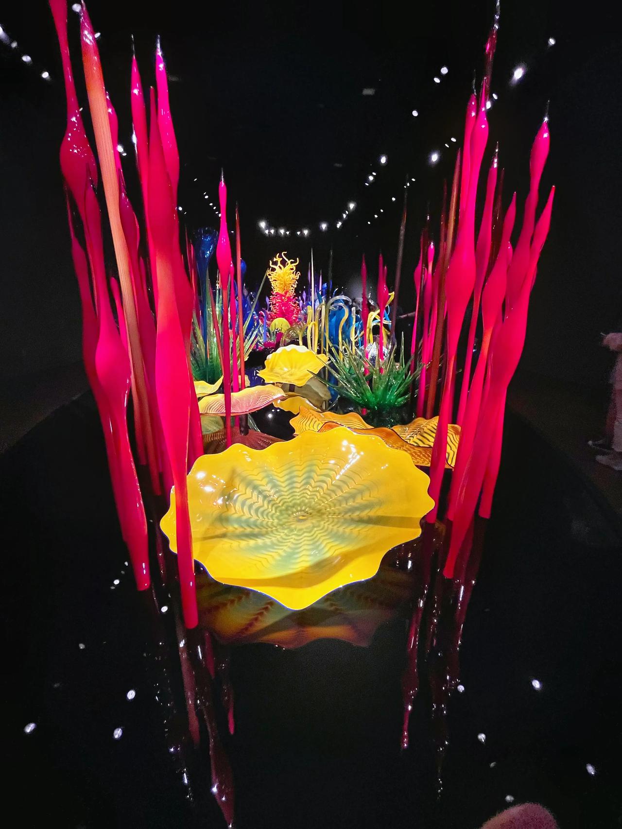 这是我在吹塑作品展览会拍的吹塑玻璃作品“一千朵花”组装的玻璃花园，作者的许多灵感