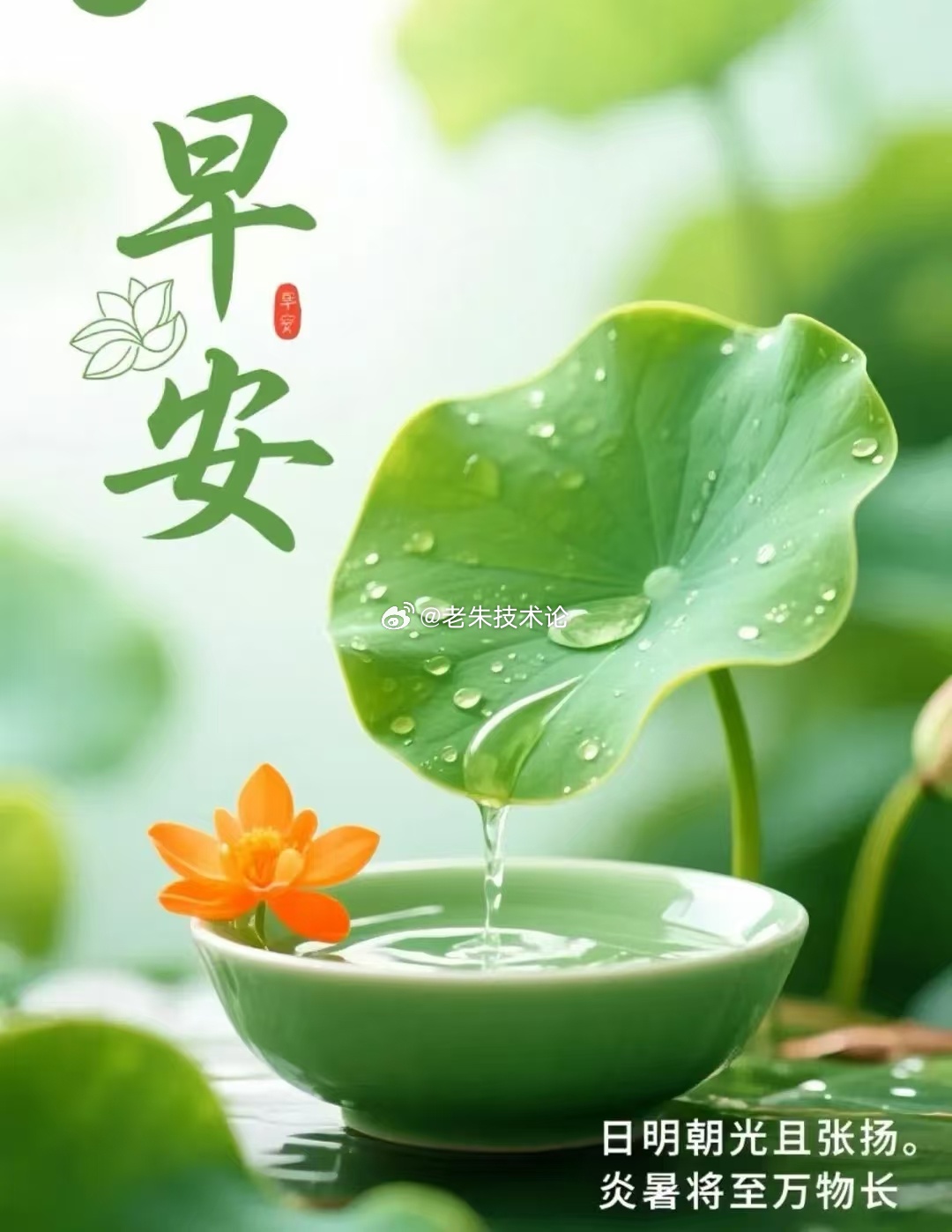 【周四，早安】周四的晨光穿透云层，活力如朝阳跃动指尖。走过半周的起伏淬炼，用坚韧