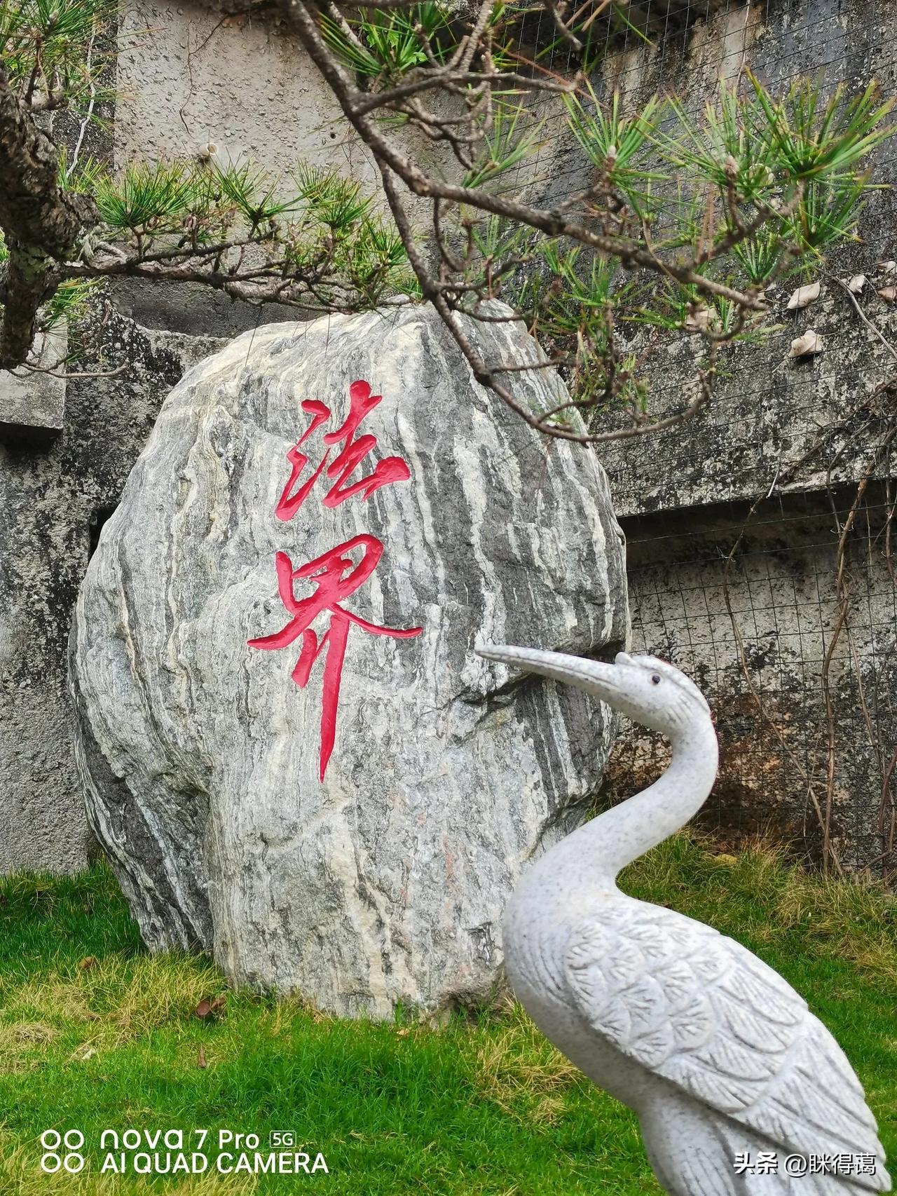用慈悲看世界，世人皆可怜！
用因果看世界，没有可怜人！

这是因为，慈悲看到的可