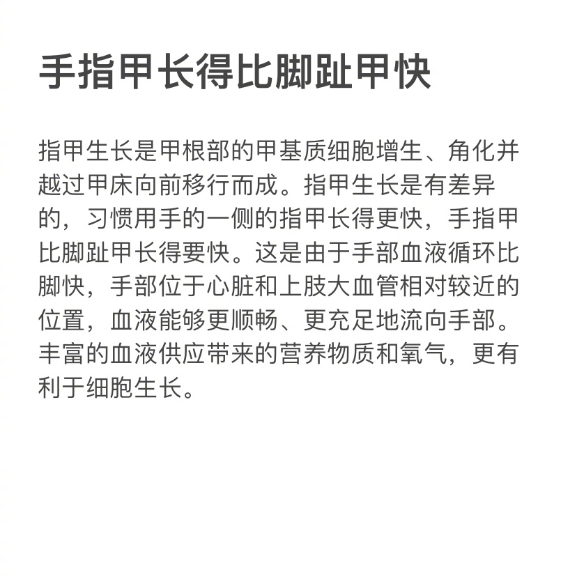 手指甲长得比脚趾甲快  手指甲长脚指甲生长速度快，手指甲每天生长0.1mm，脚趾