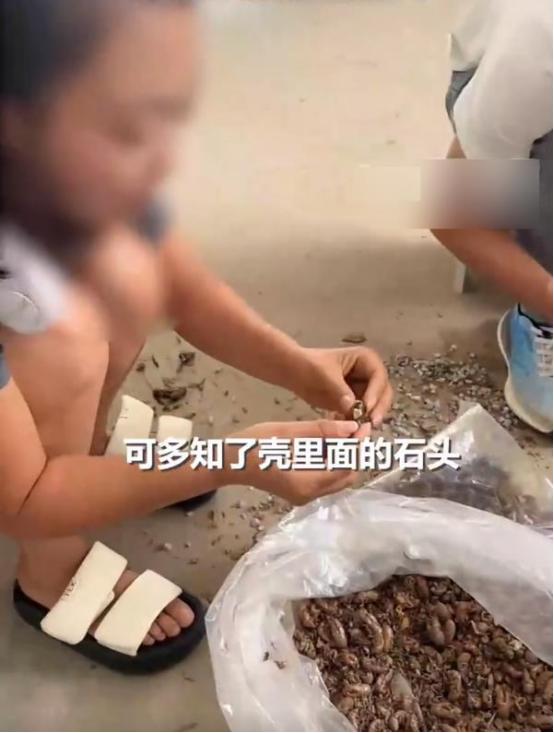陕西铜川，一女子收购知了壳，看卖家是个老人，就将原本325元1斤的价格，以以33