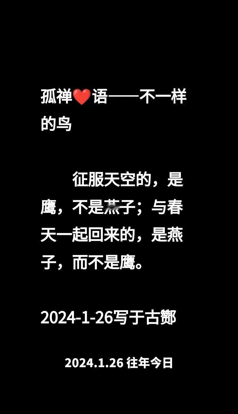 往年今日孤禅❤语不一样的鸟