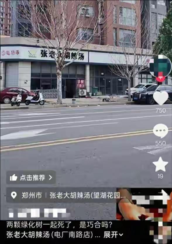郑州胡辣汤店枯树引争议
 
郑州电厂南路一胡辣汤店门前两棵行道树枯死，与周边繁茂