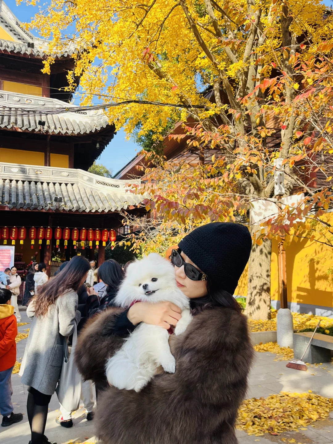 岁岁平安 年年常在
